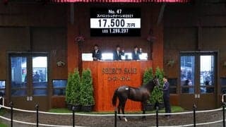 【セレクトセール2022】ハーツクライ最終世代の産駒が1億7500万円　米G1馬スパニッシュクイーンの2021を藤田晋氏が落札