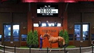 【セレクトセール2022】藤田晋氏がドゥラメンテ産駒を2億円で落札