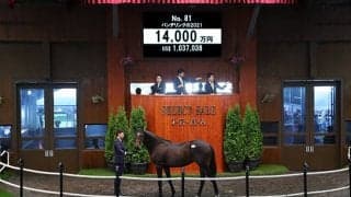 【セレクトセール2022】母の妹はアーモンドアイ DMMが1億4000万円でパンデリングの2021を落札