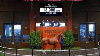 【セレクトセール2022】ダノックスがデックドアウトの2021を1億3000万円で落札　母は米国G1馬