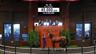 【セレクトセール2022】本日初の4億円超え　ダノックスがプリモシーンの弟を4億5000万円で購入