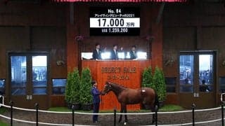 【セレクトセール2022】金子真人氏がハーツクライのラストクロップを1億7000万円で落札　母は北米でG1・2勝のアレイヴィングビューティ