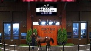 【セレクトセール2022】モーリス産駒が2億2000万円