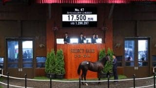 【セレクトセール2022】藤田晋氏がハーツクライ産駒を1億7500万円で落札