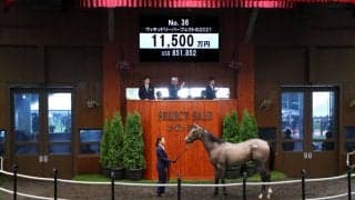 【セレクトセール2022】サトノダイヤモンド産駒が1億1500万円