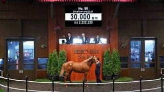 【セレクトセール2022】本日2頭目の3億円超え！ 2018年の米2歳女王ジェイウォークの初仔が登場