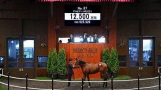 【セレクトセール2022】重賞2勝馬アルビアーノの仔を藤田晋氏が1億2500万円で落札　父はダービー馬キズナ