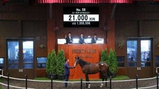 【セレクトセール2022】ダノンベルーガ半妹が2億1000万円