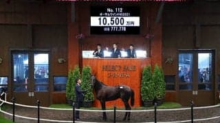 【セレクトセール2022】オーサムウインドの2021は1億500万円　金子真人ホールディングスが購入