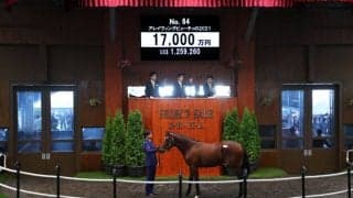 【セレクトセール2022】追分ファーム ハーツクライ産駒が1億7000万円