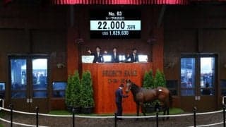 【セレクトセール2022】シーヴの2021が2億2000万円