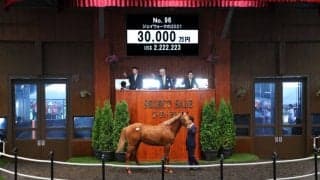 【セレクトセール2022】ドゥラメンテ産駒が3億円