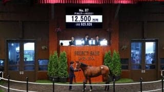 【セレクトセール2022】キズナ産駒が1億2500万円で落札