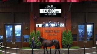 【セレクトセール2022】エピファネイア産駒が1億4000万円で落札