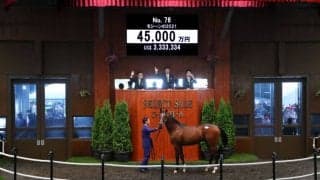 【セレクトセール2022】プリモシーン半弟が4億5000万円で落札