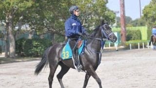 1億円超えの“バラ一族”ヤングローゼスが戸崎圭太騎手でデビュー/関東馬メイクデビュー情報