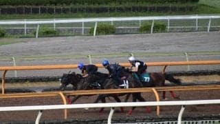 軽快な動きをみせるマテンロウプラウド/関西馬メイクデビュー情報