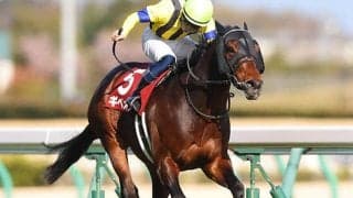 【AI予想・函館記念】参加賞じゃ物足りない!? 敗戦続き「あの重賞常連馬」に絶好のチャンス