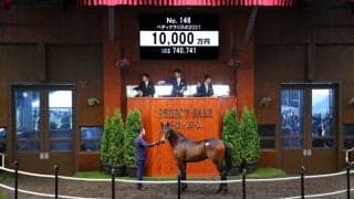【セレクトセール2022】ロードカナロア産駒が1億円で落札