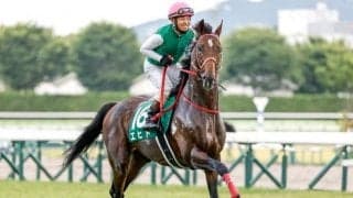 相性のいい父×母父の配合　重厚な欧州血統が好走へと結びついた