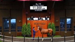【セレクトセール2022】オルフェーヴル産駒が1億1000万円で落札