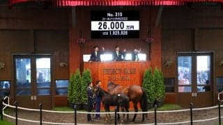 【セレクトセール2022】当歳ドゥラメンテ産駒が2億6000万円で落札