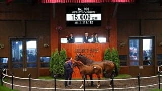 【セレクトセール2022】ドゥラメンテ最終世代が1億円超え！ 亜2歳女王ポジティブマインドの仔が1億5000万円で落札