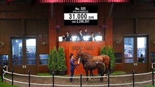 【セレクトセール2022】本日初の3億円超え！ 「ショウナン」国本哲秀氏がブリックスアンドモルタル産駒を3億1000万円で落札