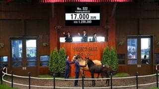 【セレクトセール2022】七冠馬ジェンティルドンナの甥を「サトノ」里見治氏が1億7000万円で落札