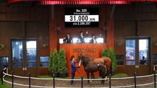 【セレクトセール2022】当歳ブリックスアンドモルタル産駒が3億1000万円で落札