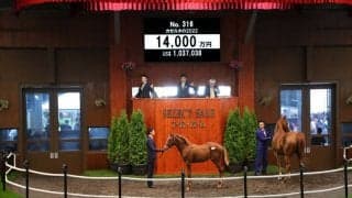 【セレクトセール2022】サートゥルナーリア産駒が1億4000万円で落札