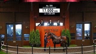 【セレクトセール2022】 GI3勝馬アドマイヤマーズの甥を「サトノ」里見治氏が1億7000万円で落札