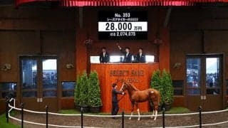 【セレクトセール2022】3億円馬ダノンザタイガーの半妹が2億8000万円で落札 本日4度目の2億円超え