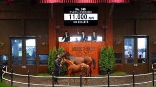 【セレクトセール2022】藤田晋氏が1億1000万円で桜花賞3着馬アットザシーサイドの2022を落札