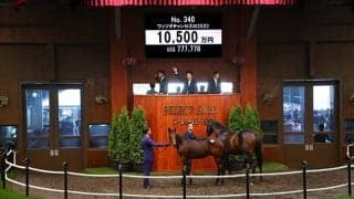 【セレクトセール2022】ダノックスが1億500万円で米芝G1馬ワッツダチャンセズの仔を落札
