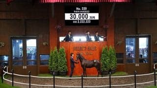 【セレクトセール2022】ステルヴィオの弟が3億円超え！ サートゥルナーリアの初年度産駒を金子真人氏が落札