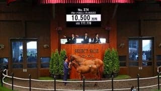 【セレクトセール2022】亜G1馬を母に持つリアルスティール産駒が1億円超え 「ミッキー」野田みづき氏が落札