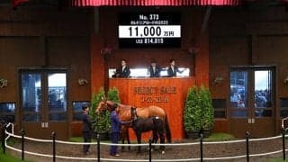 【セレクトセール2022】米G1馬カレドニアロードの仔が2年連続で1億円超え