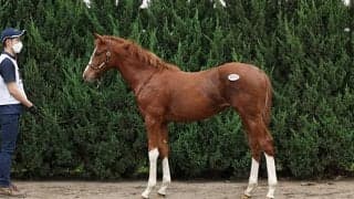 「どうしても手に入れたかった馬」NICKSエージェント竹内啓安氏が希望馬落札に安堵