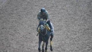 マリアエレーナなど、先週の入厩情報/栗東トレセンニュース