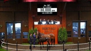 【セレクトセール2022】本日3頭目の3億円超え！ 豪の名牝モシーンの仔が昨日に引き続き本日も高値で落札