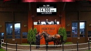 【セレクトセール2022】オールドタイムワルツの2022が1億4500万円 「エコロ」原村正紀氏が落札