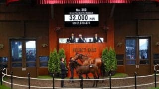 【セレクトセール2022】ドゥラメンテ最終世代が3億円超え シャンパンエニワンの2022が3億2000万円で落札