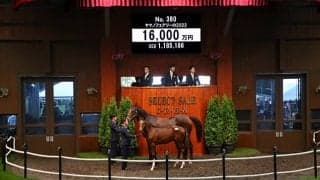 【セレクトセール2022】ヤマノフェアリーの2022が1億6000万円で落札 近親にトゥザヴィクトリーやデニムアンドルビーなど重賞馬多数