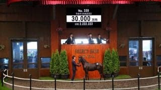 【セレクトセール2022】ステルヴィオ半弟、サートゥルナーリア産駒が3億円で落札