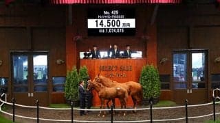 【セレクトセール2022】アドマイヤマーズの初年度産駒が1億円超え 藤田晋氏が1億4500万円で落札