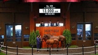 【セレクトセール2022】藤田晋氏が1億3000万円でラーゴブルーの2022を購入　同牝系には重賞馬多数