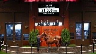 【セレクトセール2022】フィエールマンの初年度産駒が2億円超え！ 従兄弟に6億円ホースがいる良血馬をダノックスが落札
