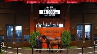 【セレクトセール2022】スターズオンアース半弟が1億4000万円で落札