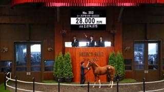 【セレクトセール2022】当歳エピファネイア産駒2億8000万円で落札